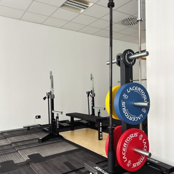 Project-Iron-Lecco7